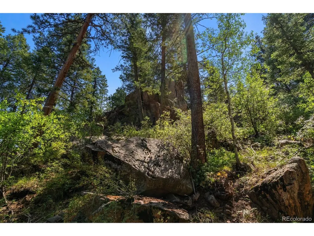 12954 Kuehster Road Littleton, CO 80127