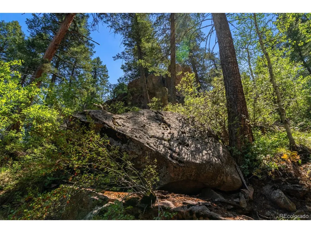 12954 Kuehster Road Littleton, CO 80127