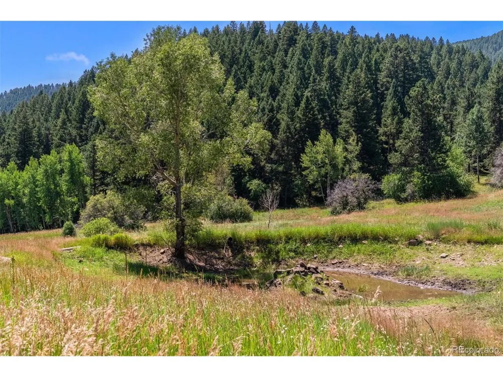 12954 Kuehster Road Littleton, CO 80127