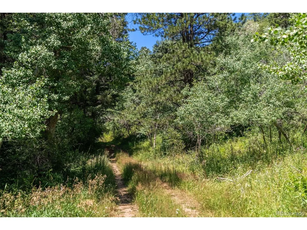 12954 Kuehster Road Littleton, CO 80127