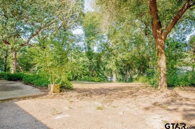 439 Lone Star Hideaway, TX 75771