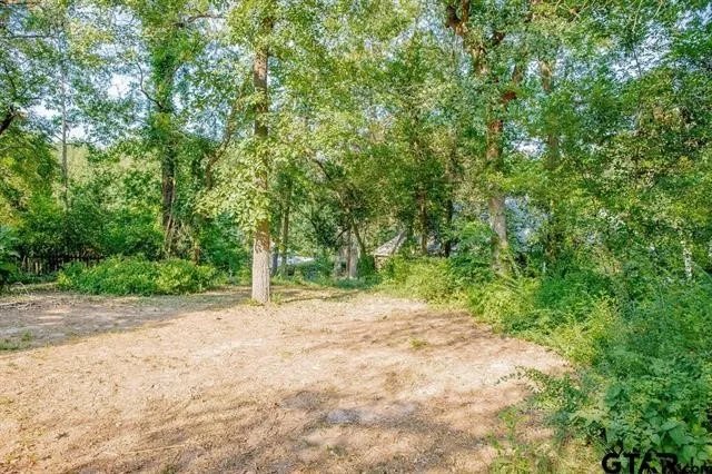 439 Lone Star Hideaway, TX 75771
