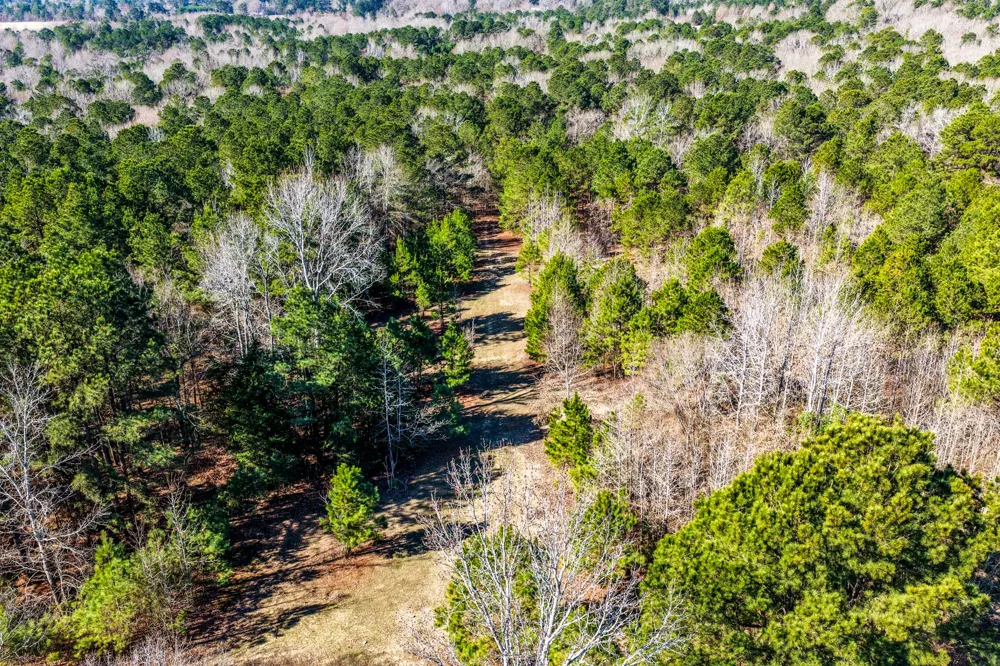 1609 C R 246 S Tyler, TX 75705