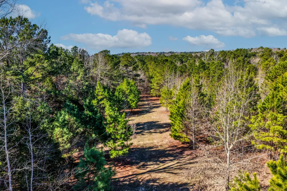 1609 C R 246 S Tyler, TX 75705