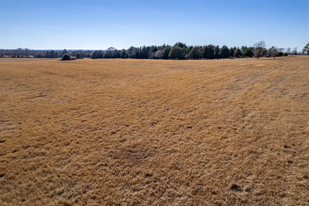 FM 2339 Murchison, TX 75778