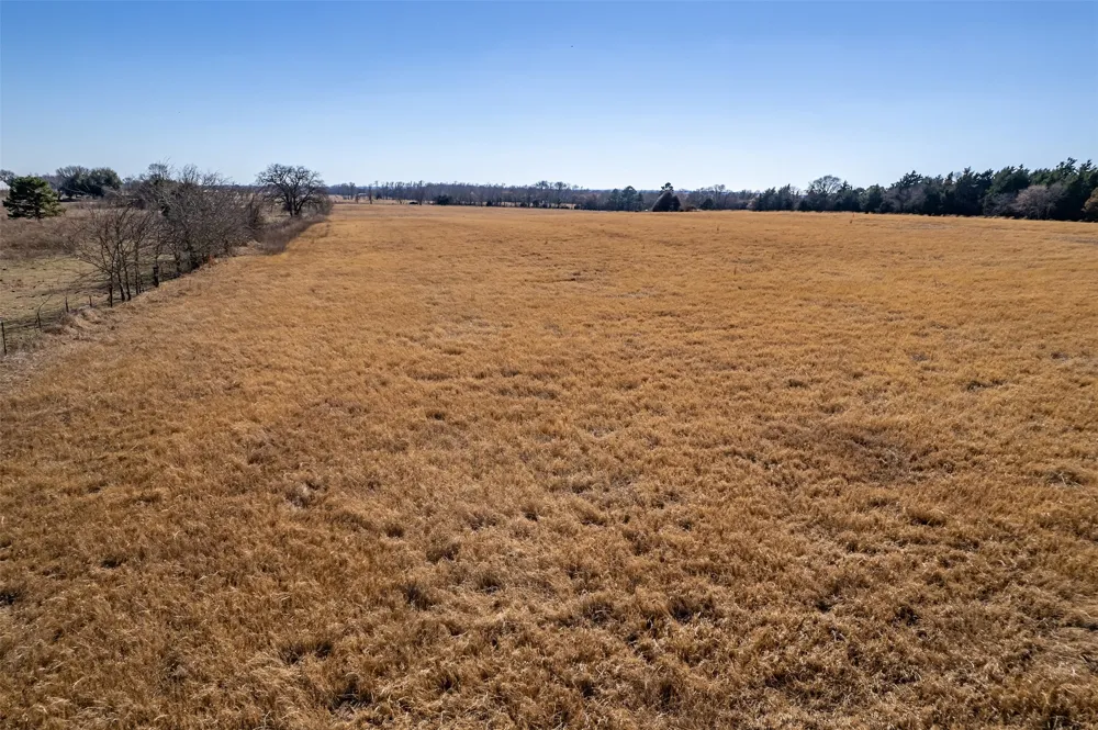 FM 2339 Murchison, TX 75778