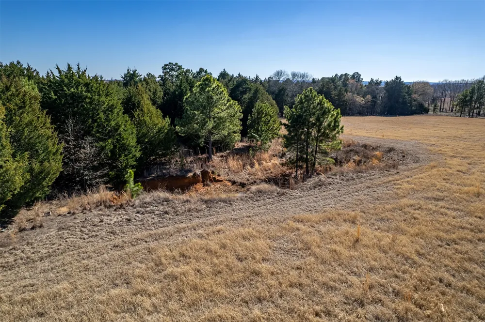 FM 2339 Murchison, TX 75778