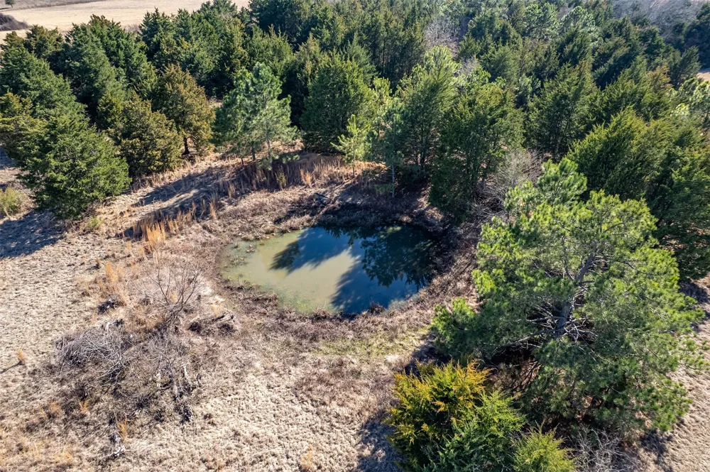 FM 2339 Murchison, TX 75778