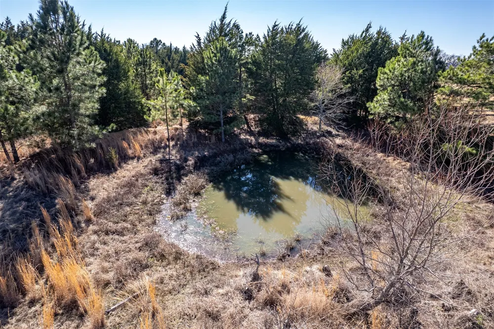 FM 2339 Murchison, TX 75778