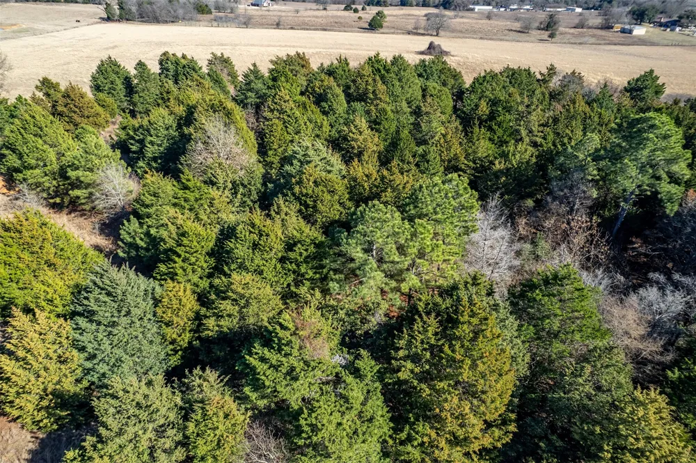 FM 2339 Murchison, TX 75778