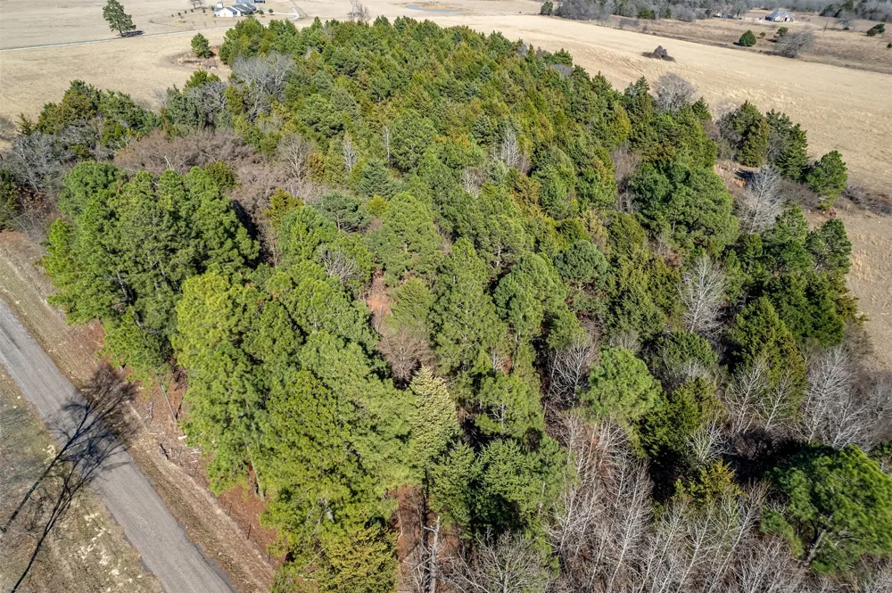 FM 2339 Murchison, TX 75778