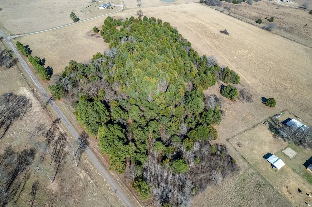 FM 2339 Murchison, TX 75778