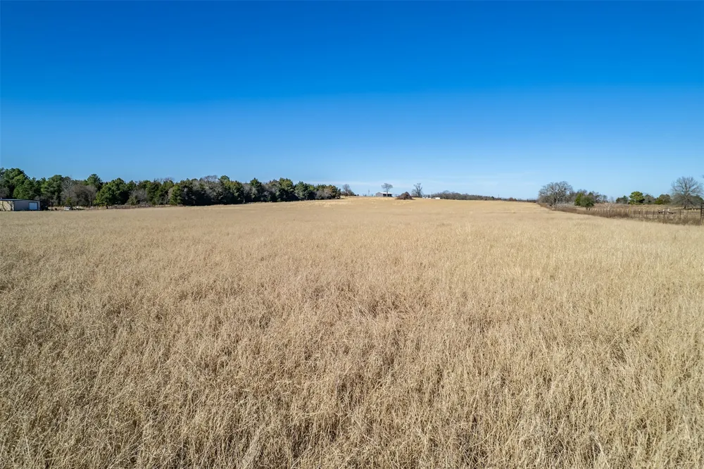 FM 2339 Murchison, TX 75778