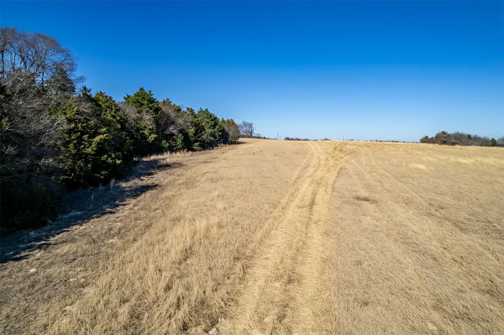 FM 2339 Murchison, TX 75778