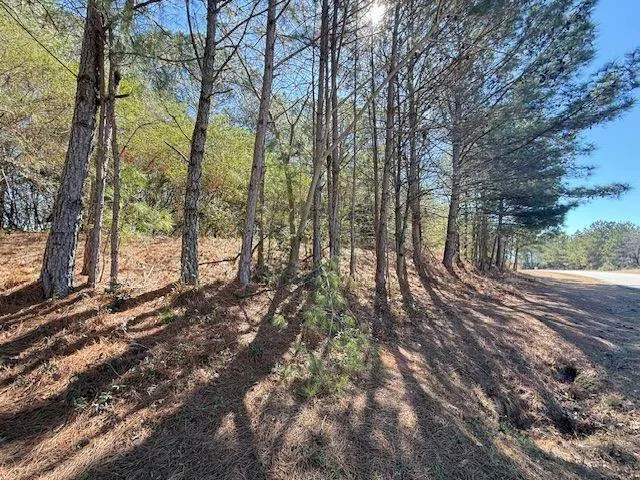 0 McDonough Parkway McDonough, GA 30253