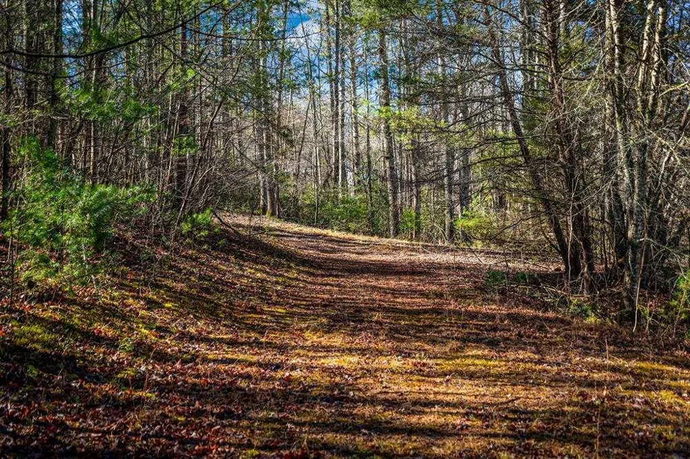 TRCT B Captains Cove Blairsville, GA 30512
