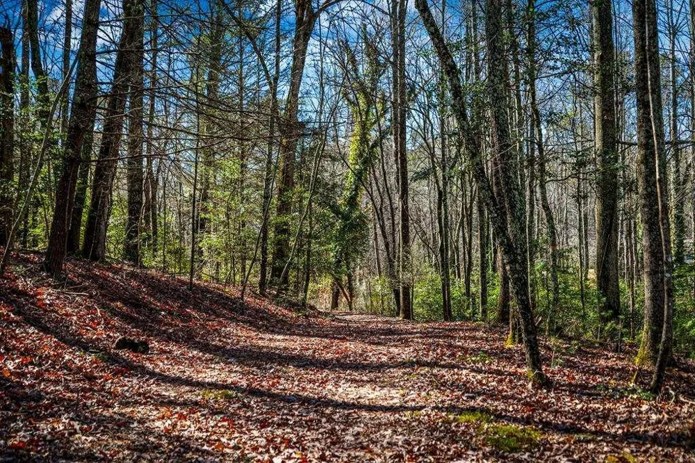 TRCT B Captains Cove Blairsville, GA 30512