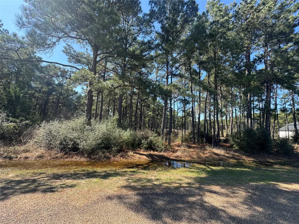 Grant Road Cypress, TX 77429