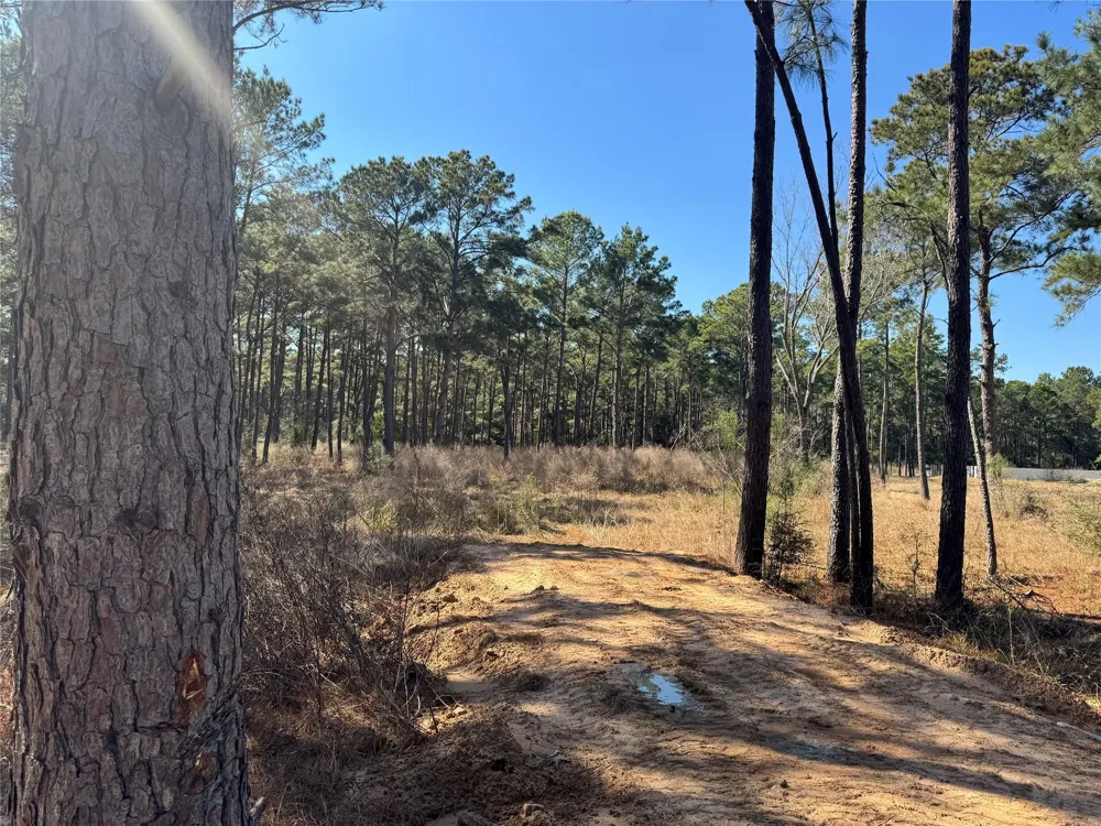 Grant Road Cypress, TX 77429