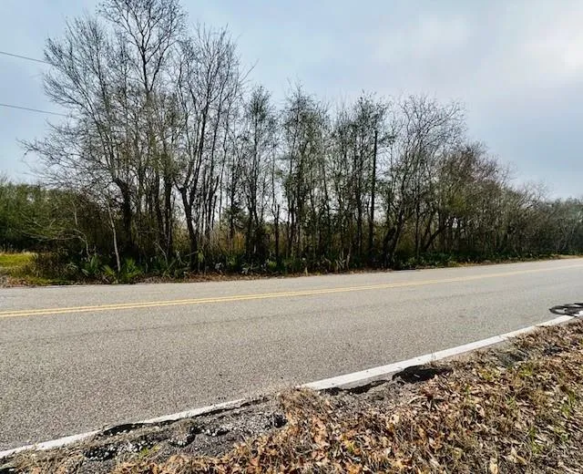 County Road 409 Sweeny, TX 77480