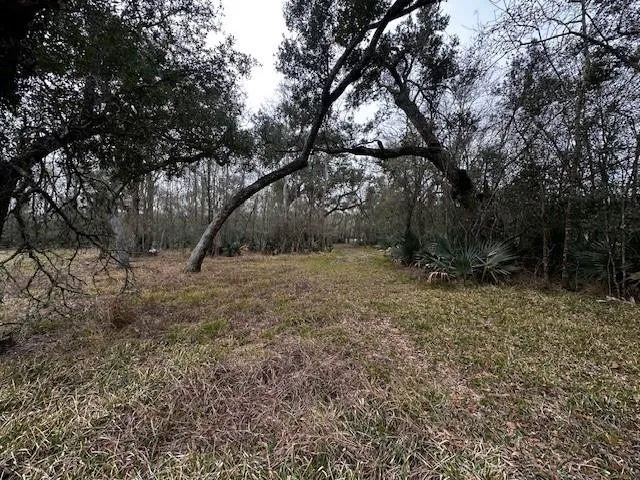 County Road 409 Sweeny, TX 77480