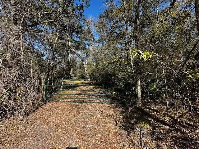 County Road 409 Sweeny, TX 77480