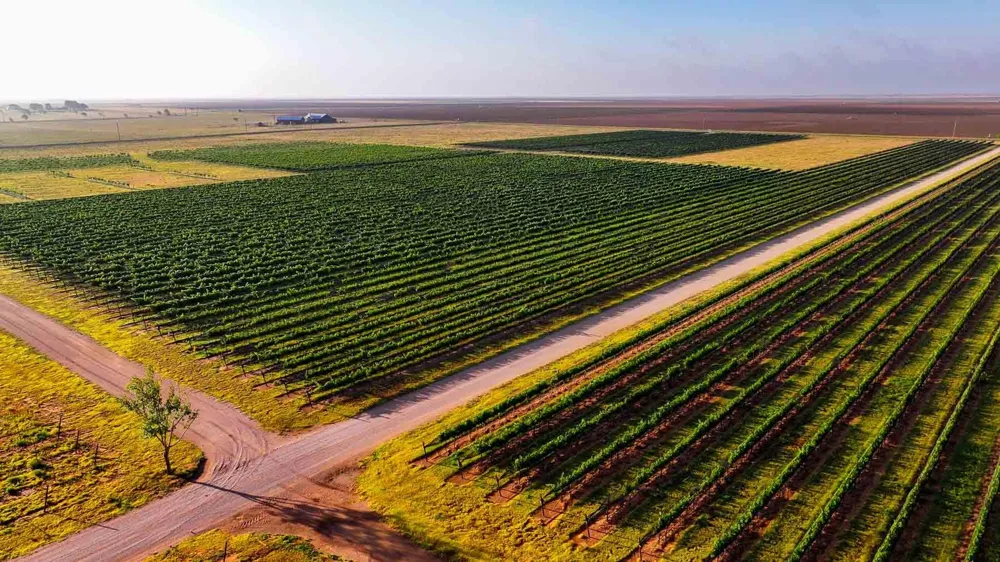 374 Fm 1317 Tahoka, TX 79373