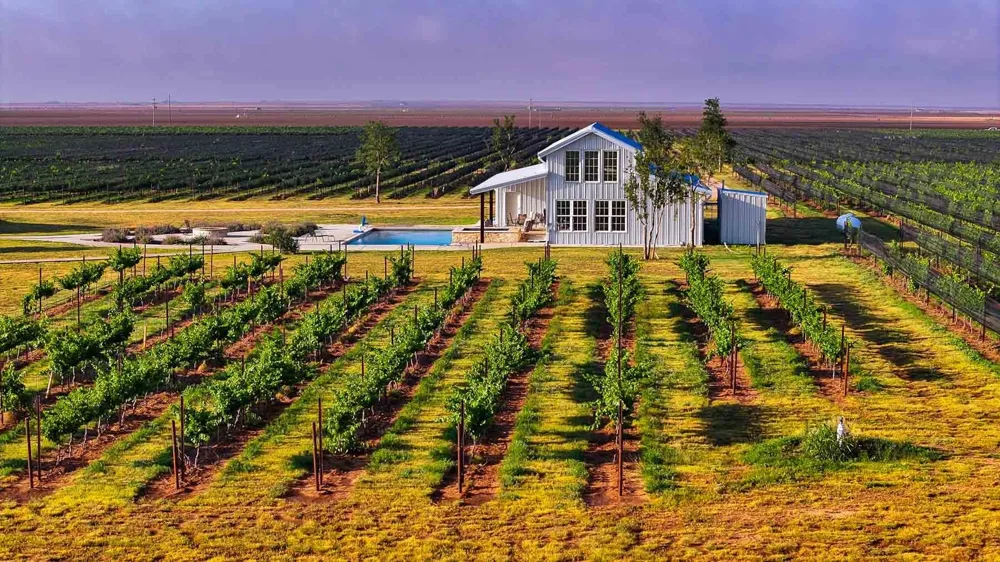 374 Fm 1317 Tahoka, TX 79373