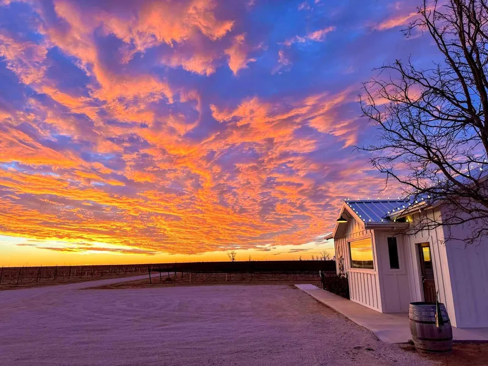 374 Fm 1317 Tahoka, TX 79373