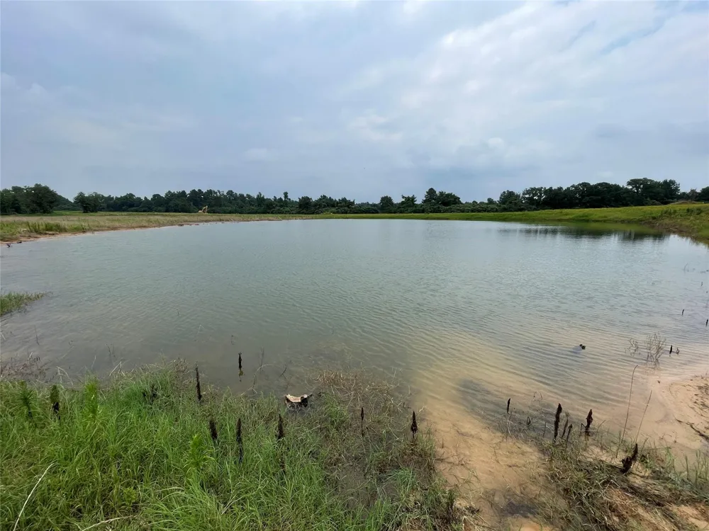 6086 Fm 1511 Centerville, TX 75833
