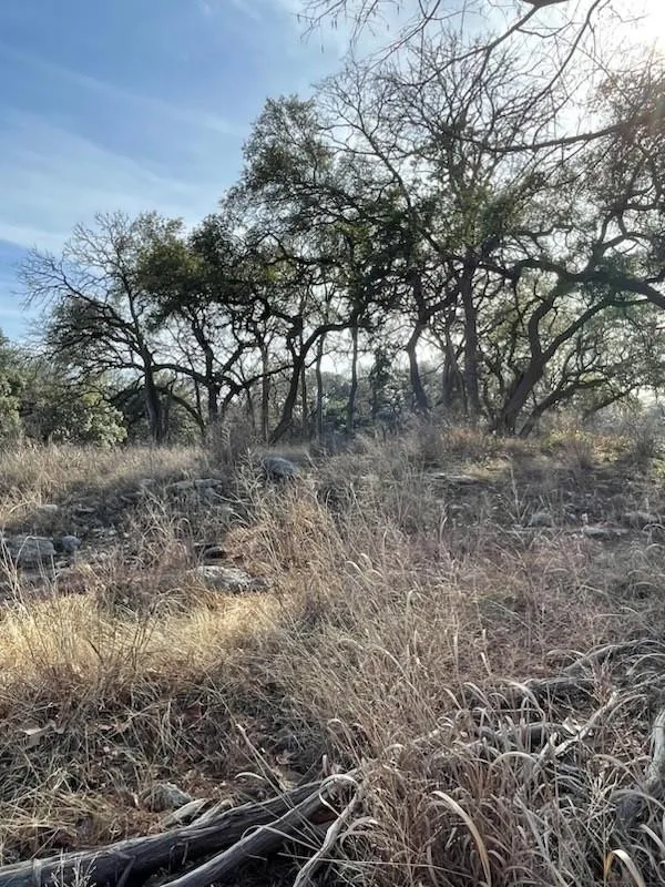 2208 Sierra Madre Canyon Lake, TX 78133