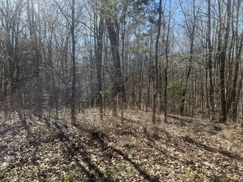 0 Sales Landing Rd