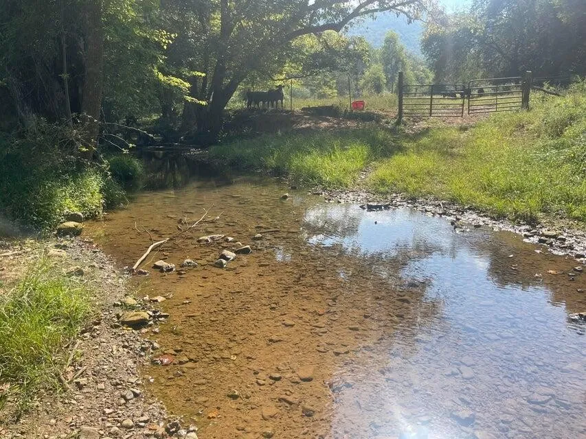 12 Upper East Valley Pikeville, TN 37367