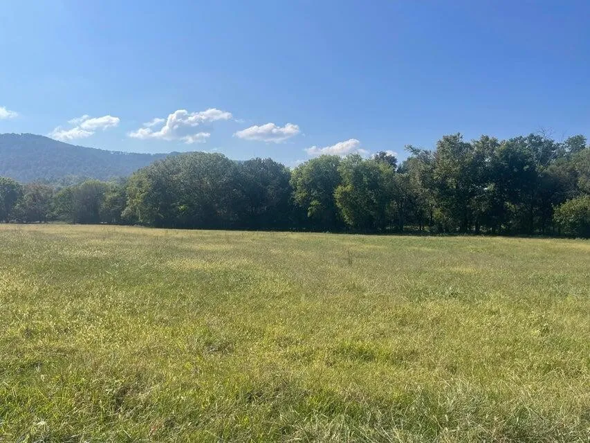 12 Upper East Valley Pikeville, TN 37367