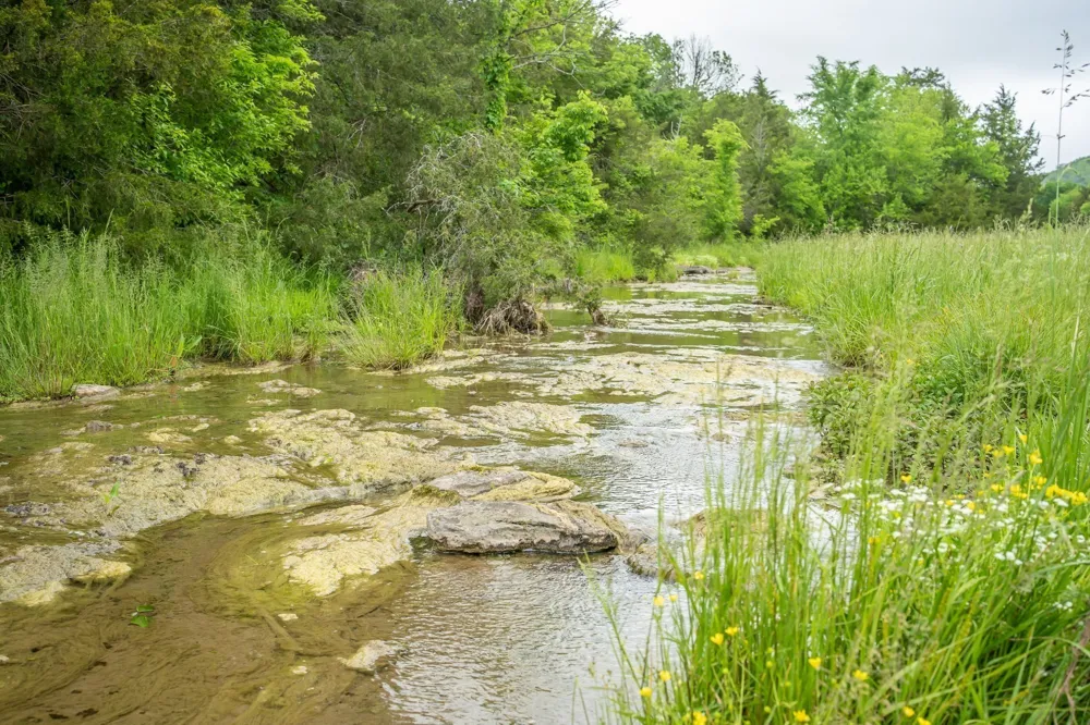 521 Coop Rd Bell Buckle, TN 37020