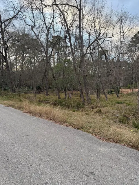 Pin Oak Drive Lane