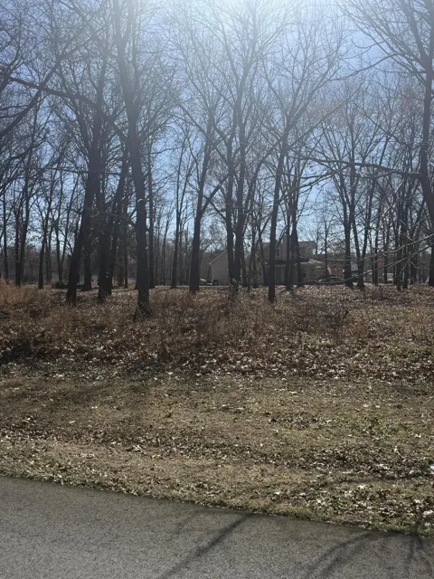 Lot 2 S 585 TRAIL