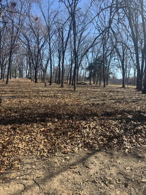 Lot 1 S 585 TRAIL