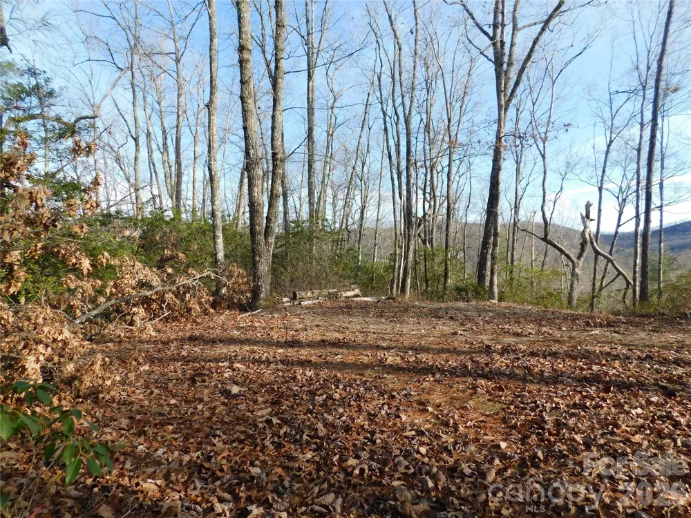 154 Laurel Thicket Drive #98 Brevard, NC 28712