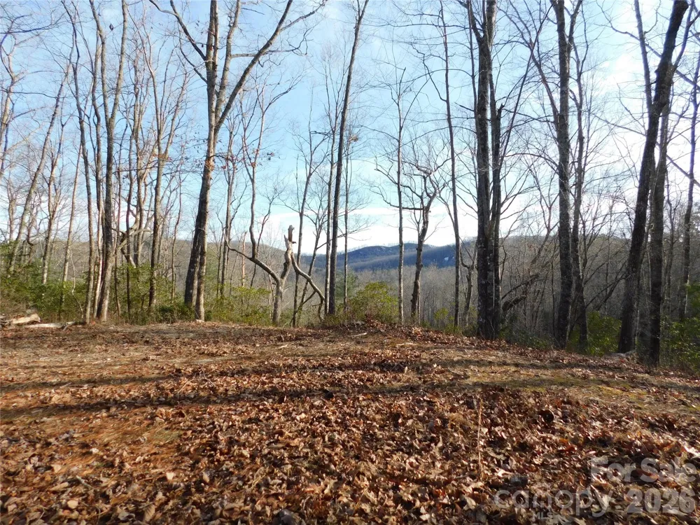 154 Laurel Thicket Drive #98 Brevard, NC 28712