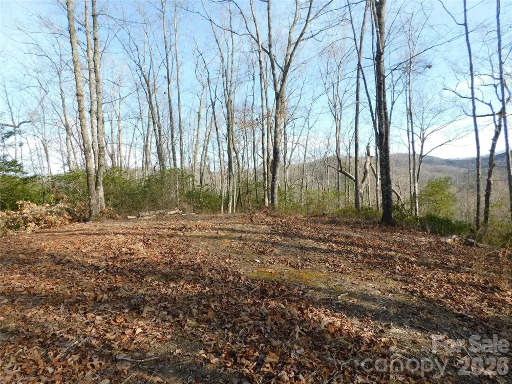 154 Laurel Thicket Drive #98 Brevard, NC 28712