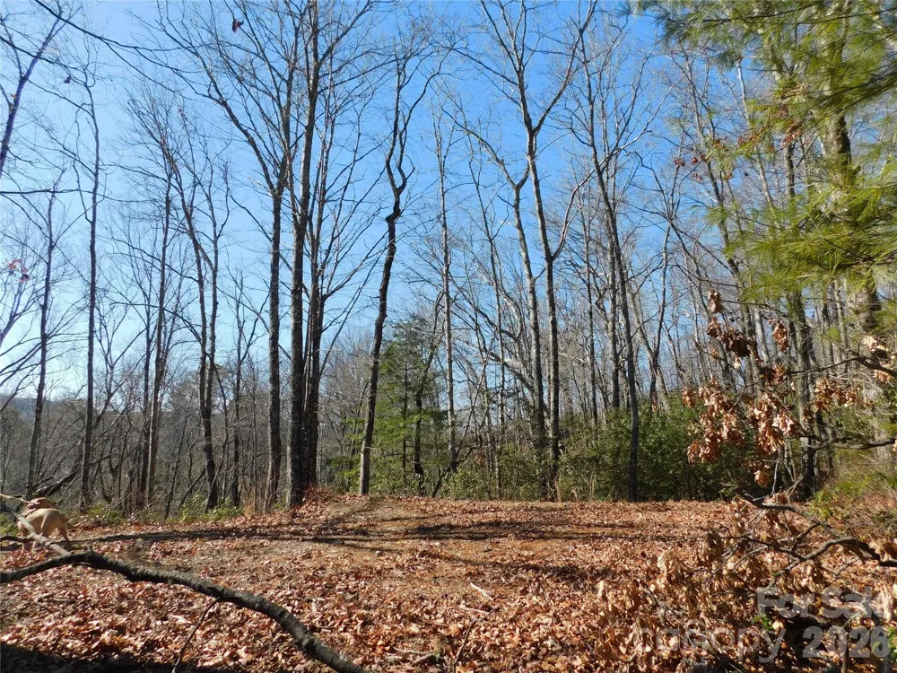 154 Laurel Thicket Drive #98 Brevard, NC 28712