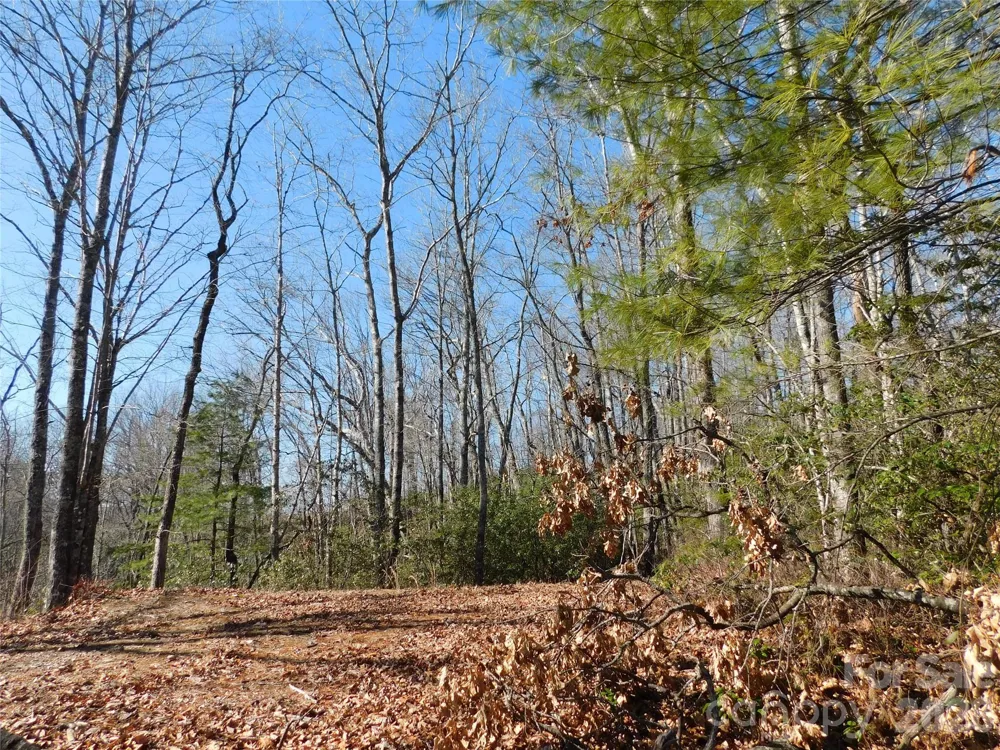 154 Laurel Thicket Drive #98 Brevard, NC 28712