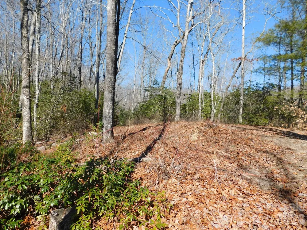 154 Laurel Thicket Drive #98 Brevard, NC 28712