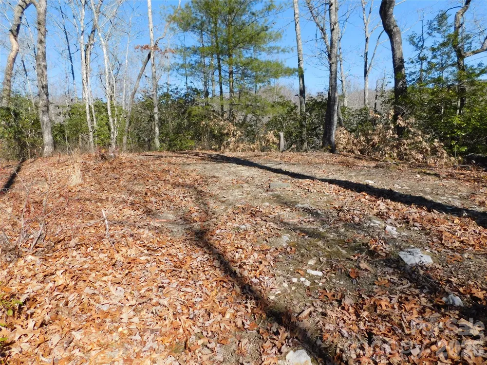 154 Laurel Thicket Drive #98 Brevard, NC 28712