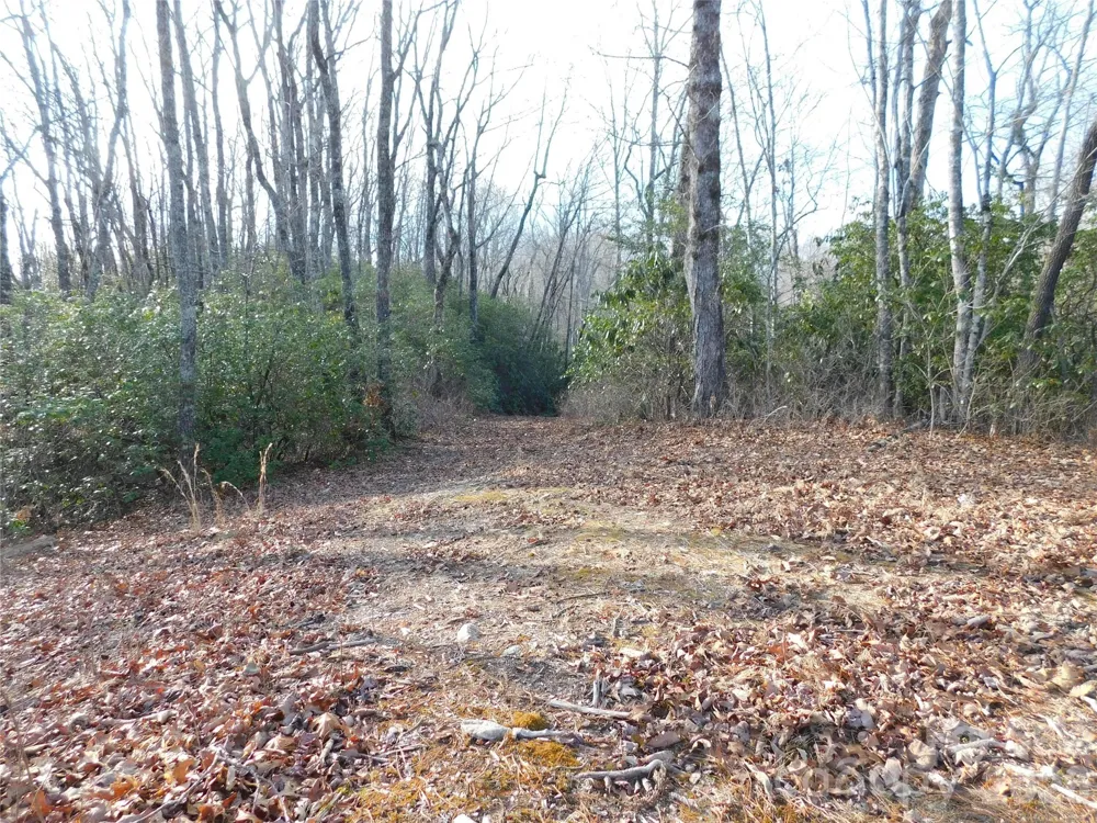 154 Laurel Thicket Drive #98 Brevard, NC 28712