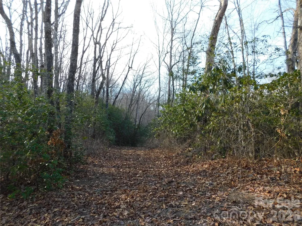 154 Laurel Thicket Drive #98 Brevard, NC 28712