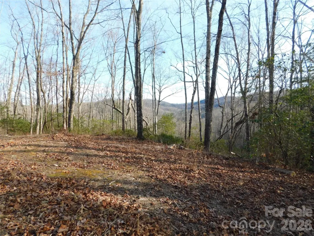154 Laurel Thicket Drive #98 Brevard, NC 28712