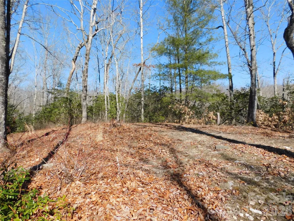 154 Laurel Thicket Drive #98 Brevard, NC 28712