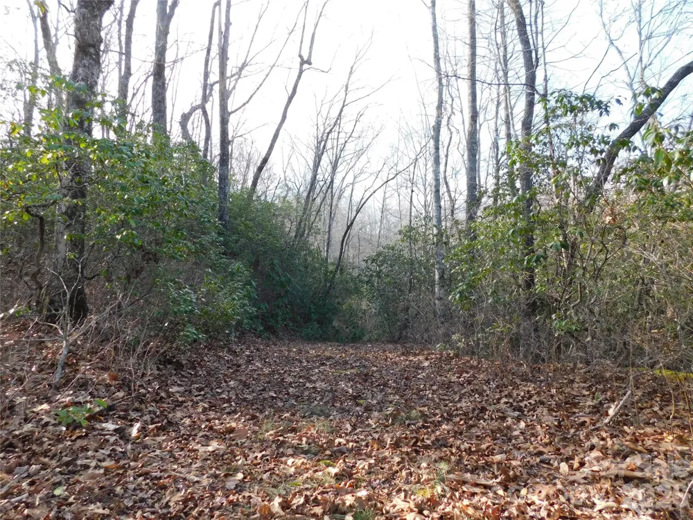 154 Laurel Thicket Drive #98 Brevard, NC 28712
